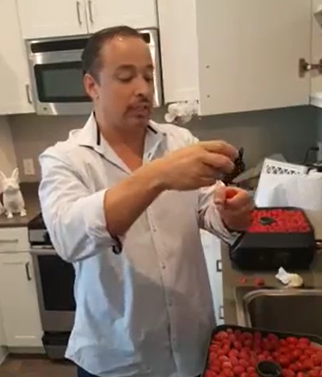 Edward May working with trays of grape tomatoes during earlier raisin-tomato product development