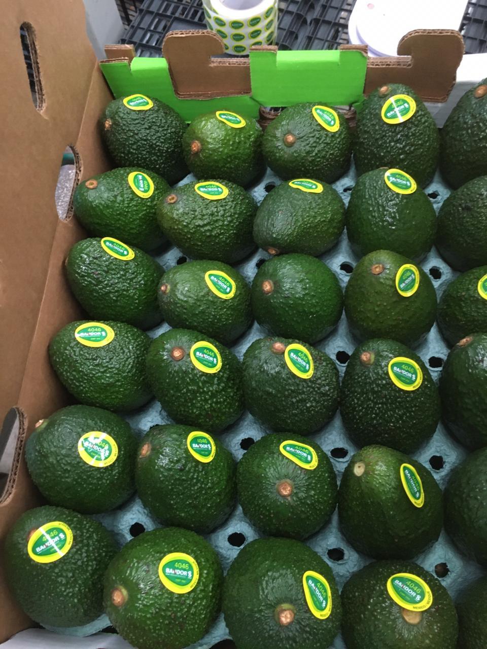 Fresh avocados packed in a commercial produce carton