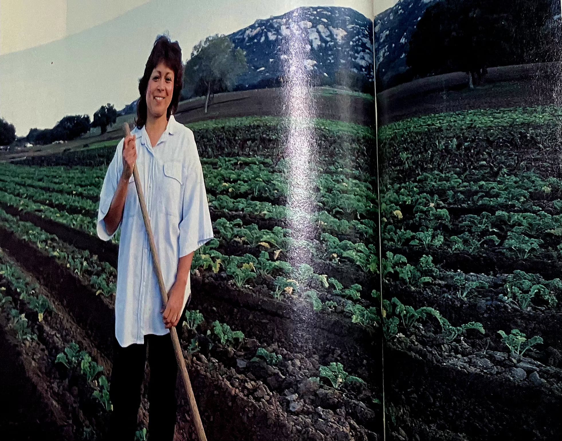 Effie-May Morton standing in her agricultural field, photographed for American Health in 1988