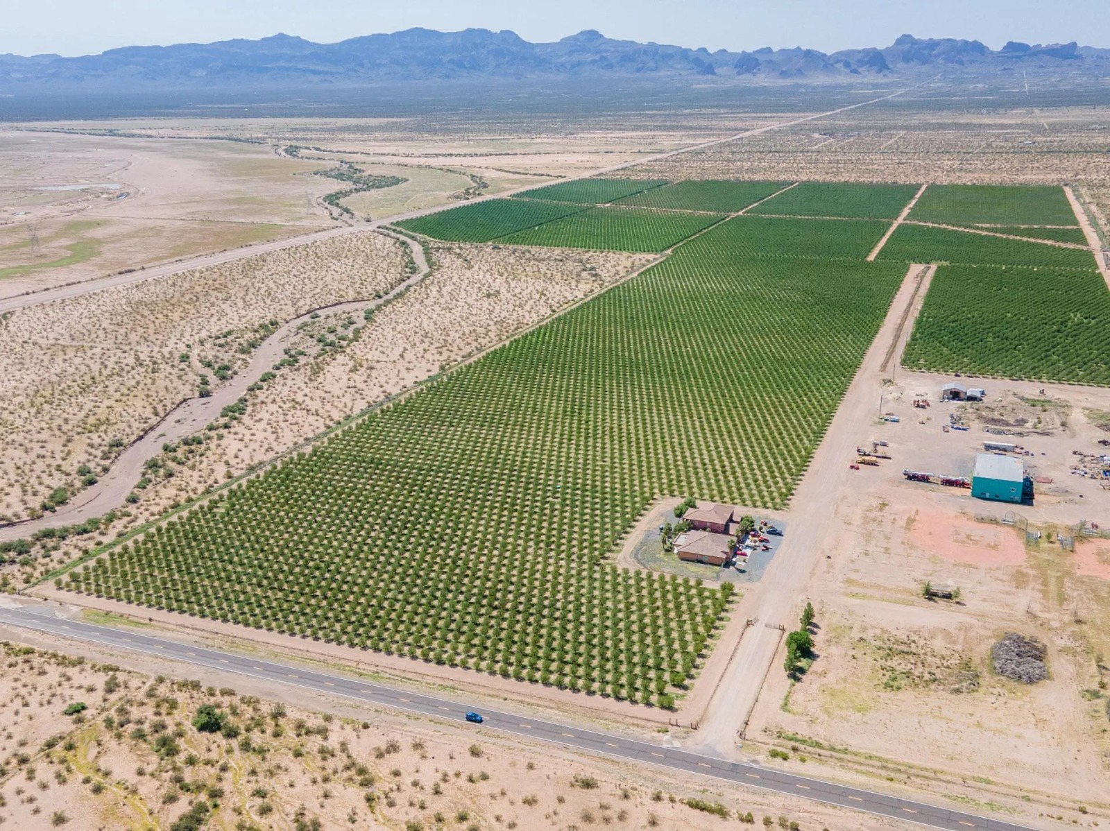 Aerial illustration of commercial almond production in the American Southwest