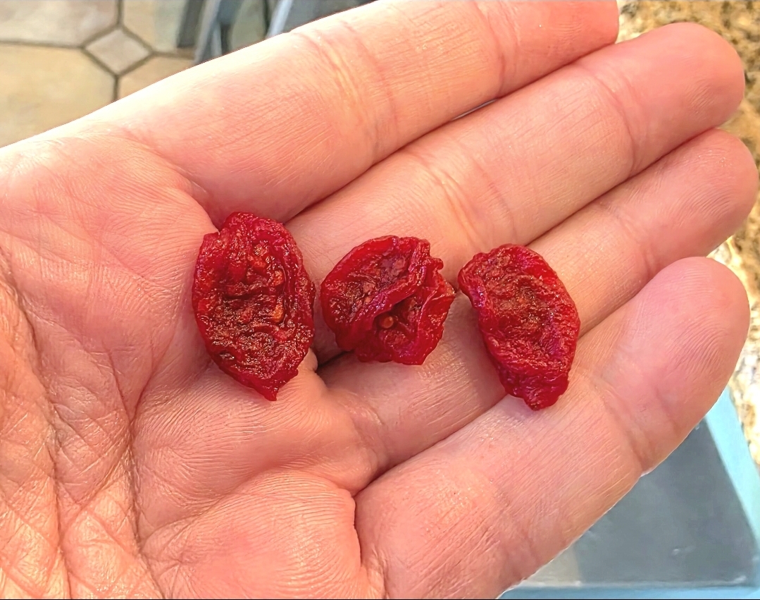 Three finished NAKED grape tomato raisins held in an open palm